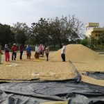 Divyabala Vidyalayam